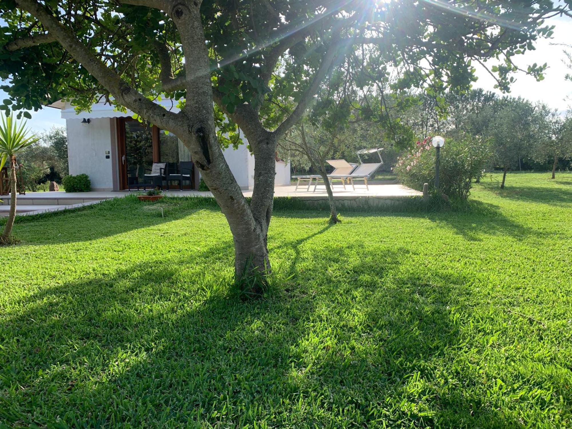 La Casetta Holiday Home 알게로 외부 사진